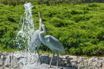 Lázně Teplice nad Bečvou – Fotogalerie z prostředí lázeňského domu Moravan